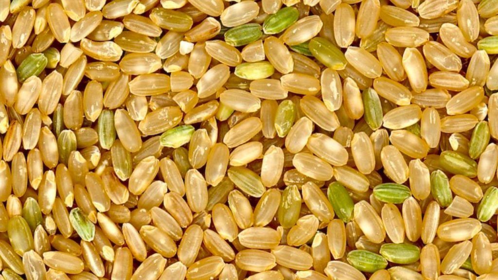 ¿Qué es más sano arroz Yamaní o integral? Los 3 tipos de arroz más saludables - Mejor con Salud Arroz yamaní, es el cereal más consumido en Oriente, su sabor es exquisito y, según indican algunos especialistas, es el más saludable de todos.
