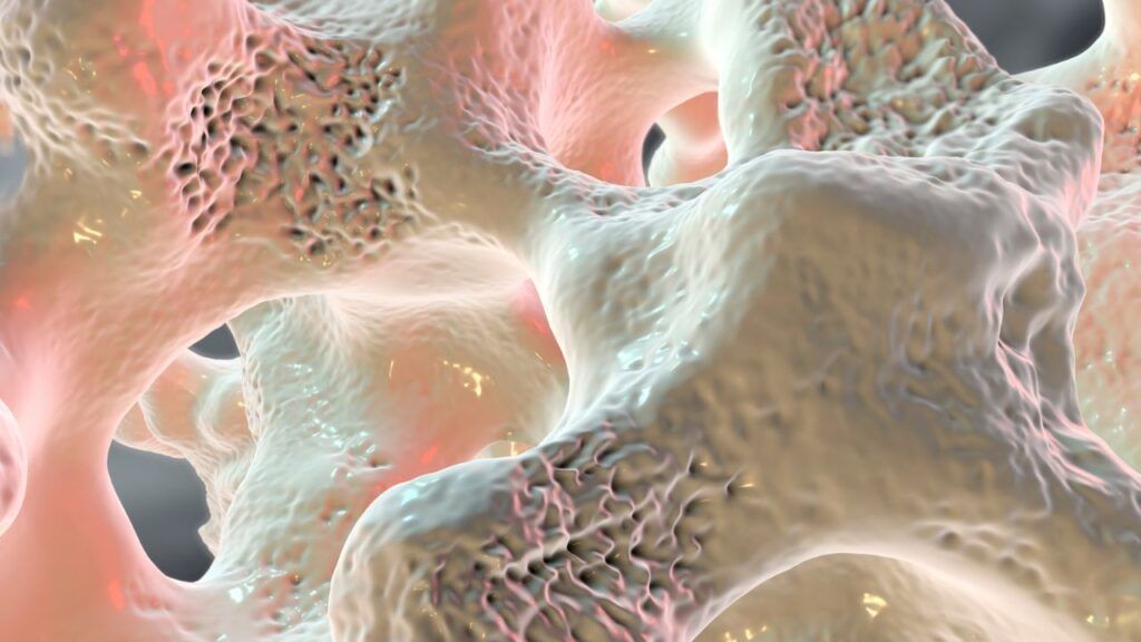 Osteoporosis y equilibrio del pH