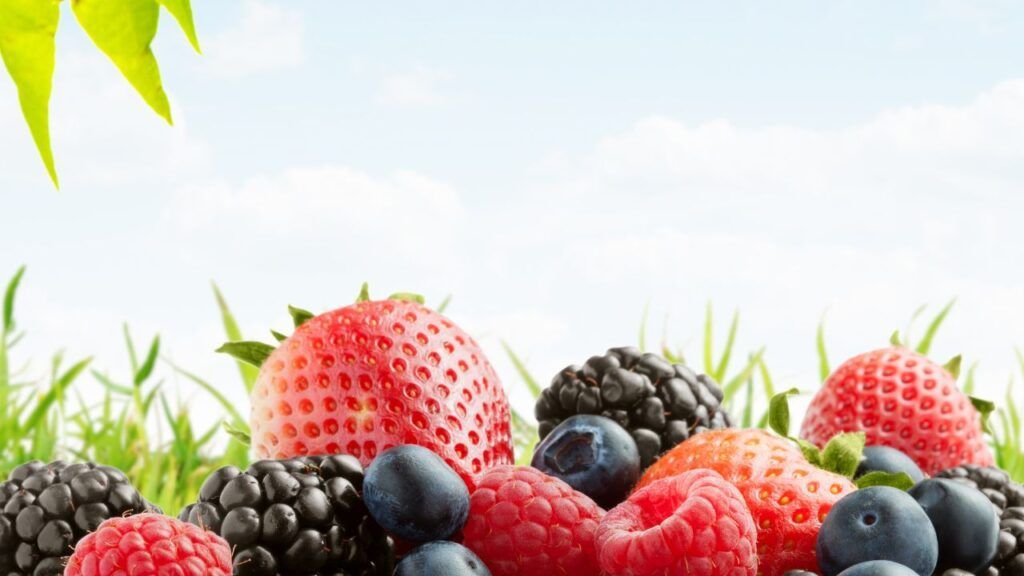 Alimentos protectores del cerebro.