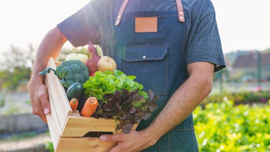 La importancia de los alimentos biológicos