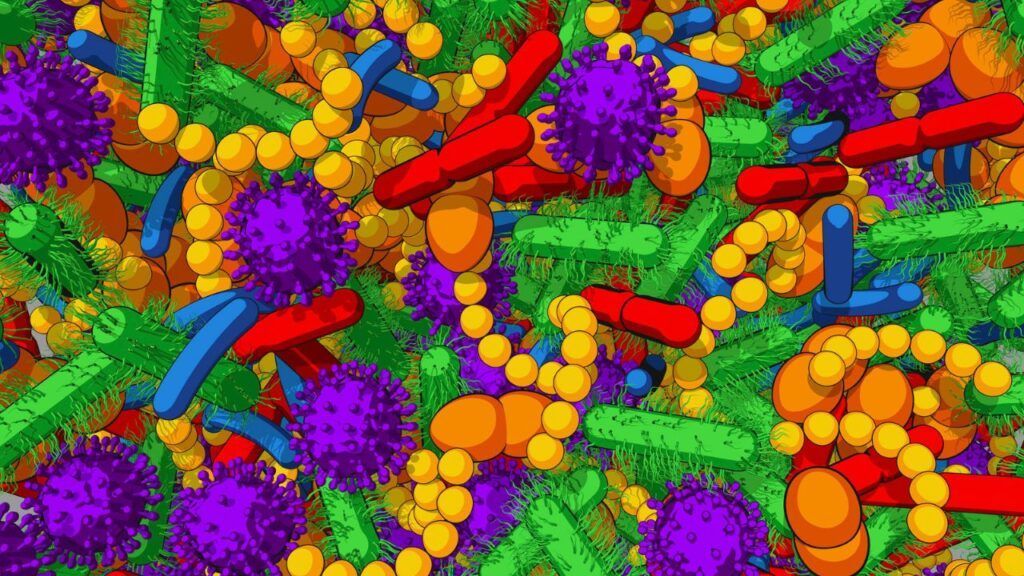 Alimenta un microbioma saludable.
