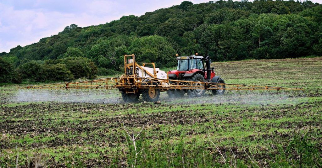 Cómo afectan los pesticidas y herbicidas a los agricultores