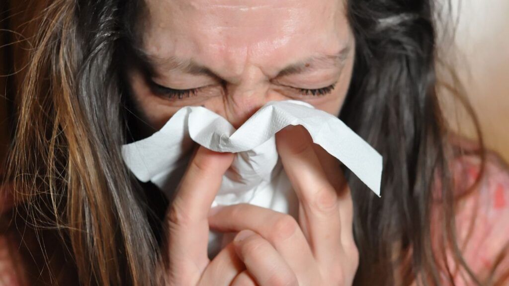 Suplementos dietéticos contra infecciones respiratorias