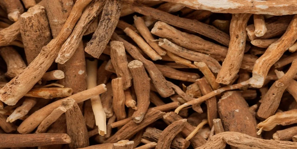 Ashwaganda, el ginseng de la India