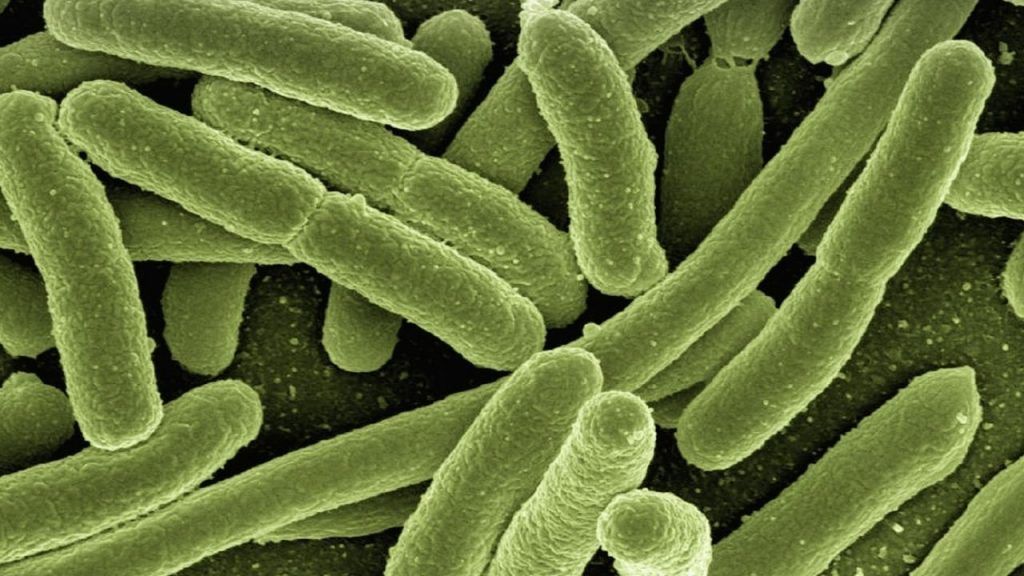 Candidiasis: intoxicación por acetaldehído