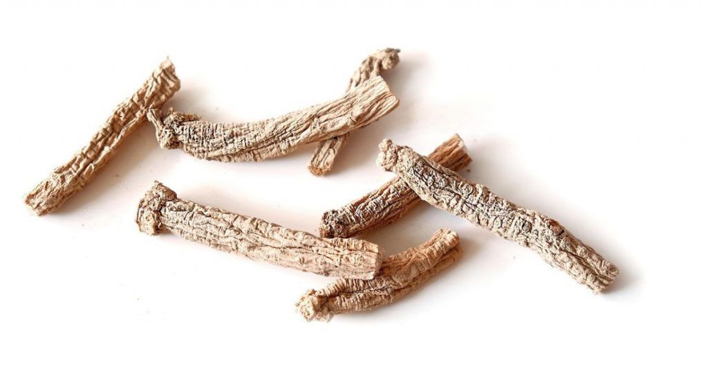 Ginseng rojo coreano