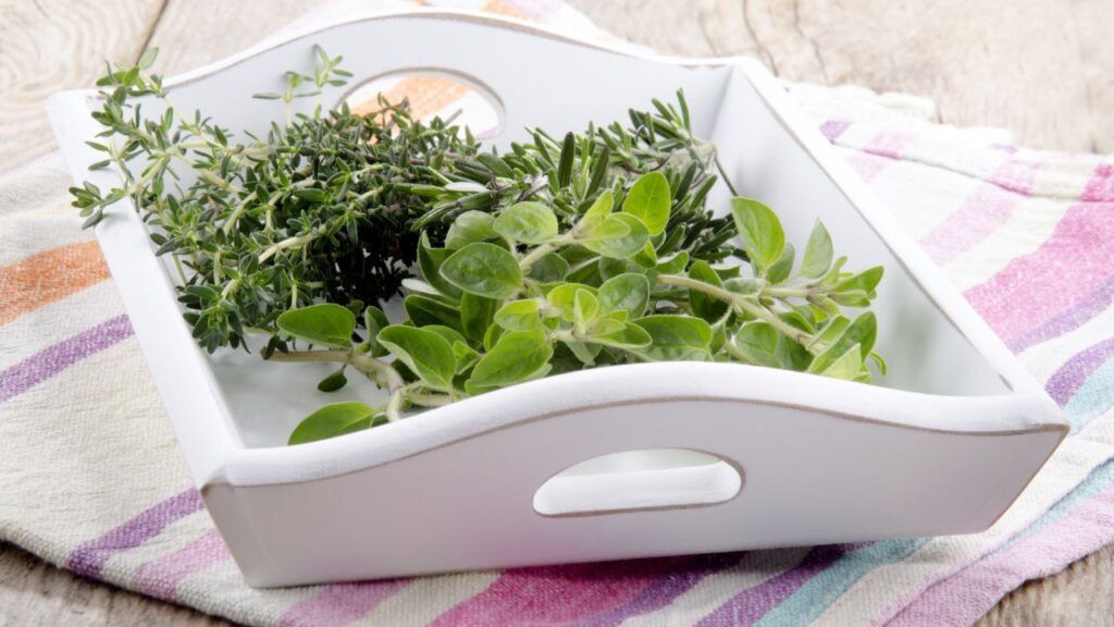 Dos plantas contra el cáncer.