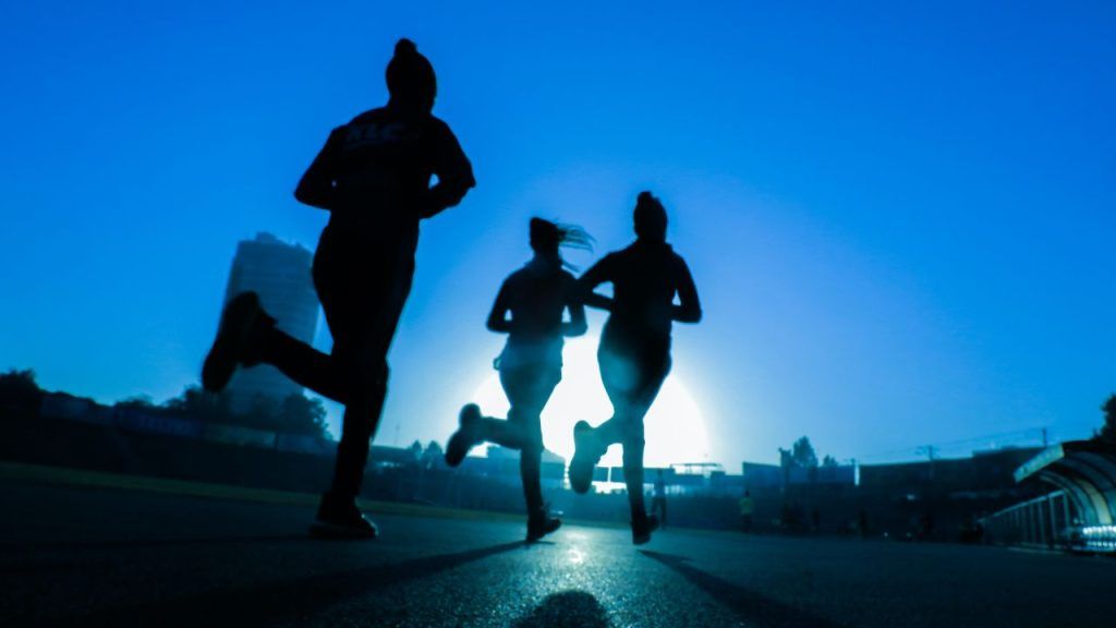 La buena circulación sanguínea es esencial para promover la longevidad y mantener un cuerpo saludable a lo largo de los años. El sistema circulatorio es responsable de suministrar oxígeno y nutrientes a todas las células del cuerpo, al tiempo que elimina los desechos y toxinas.