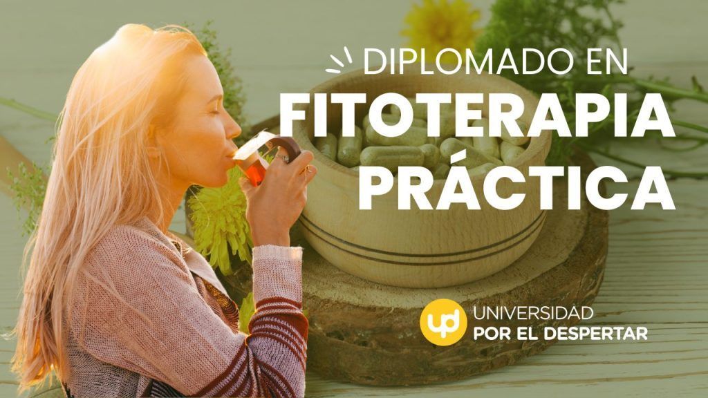 Diplomado en Fitoterapia Práctica / Formación online de la Universidad Por El Despertar