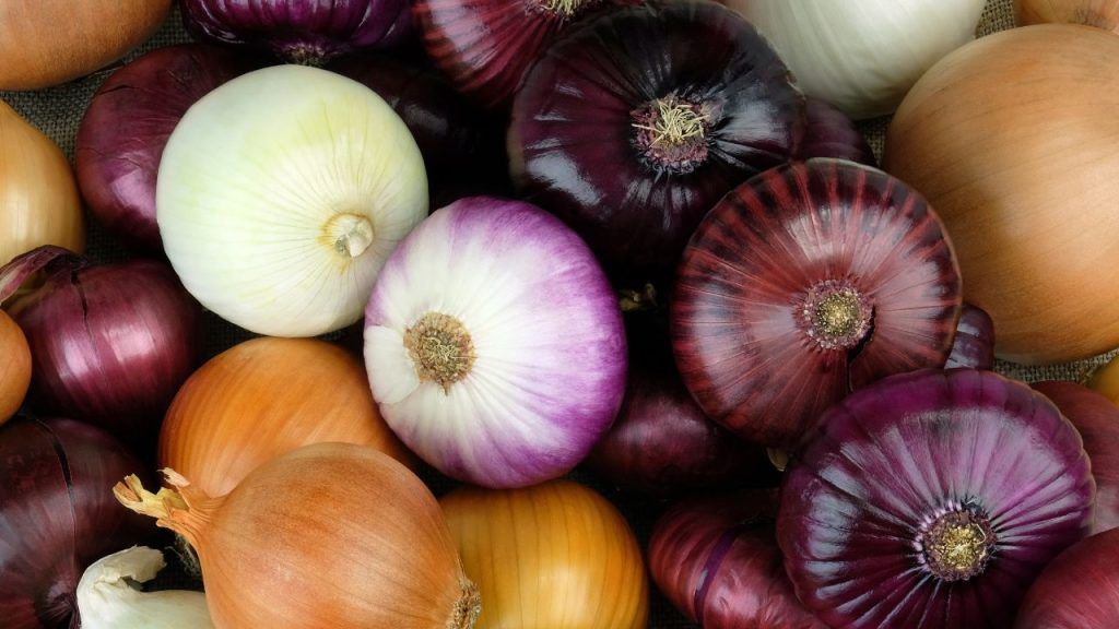 Beneficios antiparasitarios de la cebolla