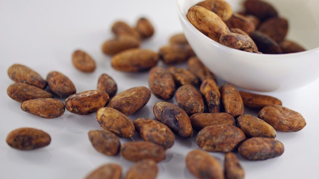 El cacao protege el cerebro y el corazón